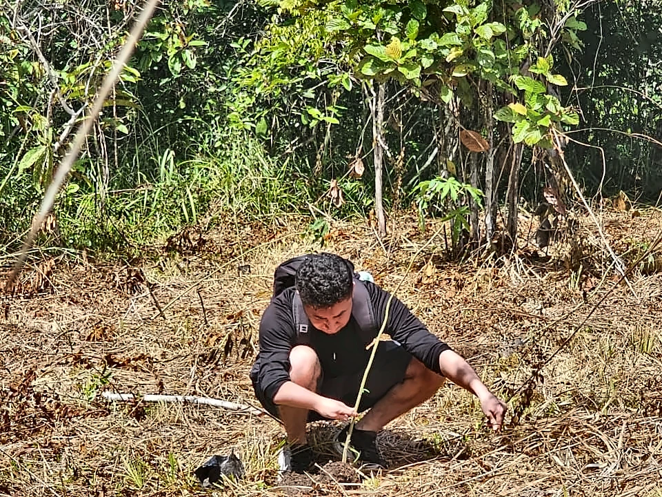 Integrante del equipo de 5T sembrando un árbol en una jornada de reforestación